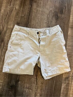 Patagonia Beige Men's Casual Shorts
